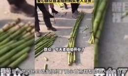 甘蔗老人视频爆料者,背后真相令人震惊